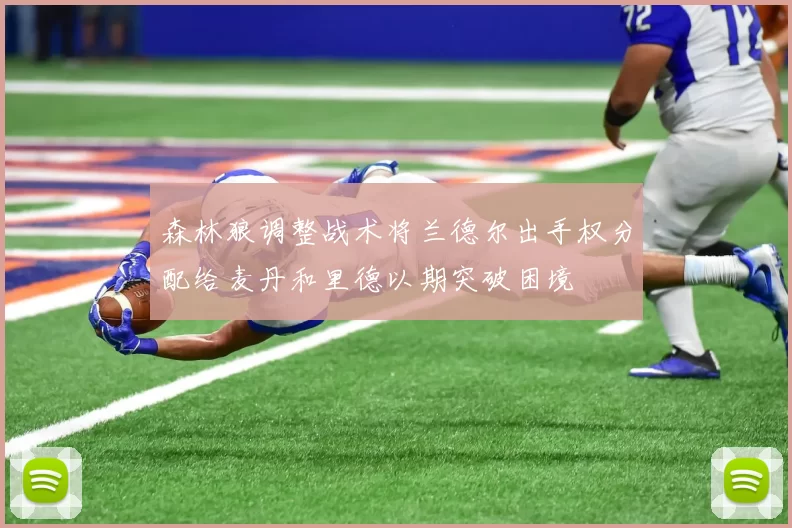 森林狼调整战术将兰德尔出手权分配给麦丹和里德以期突破困境